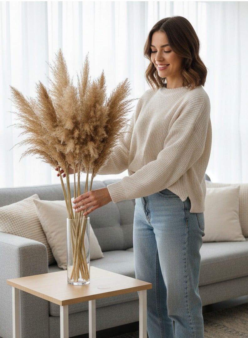 فانسي فلورز عشب بامباس طبيعي ناعم مجفف – سيقان بامباس منفوشة باللون البيج للديكور المنزلي والمناسبات  10 - Image 5